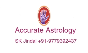 Business solutions expert Astrologer+91-9779392437